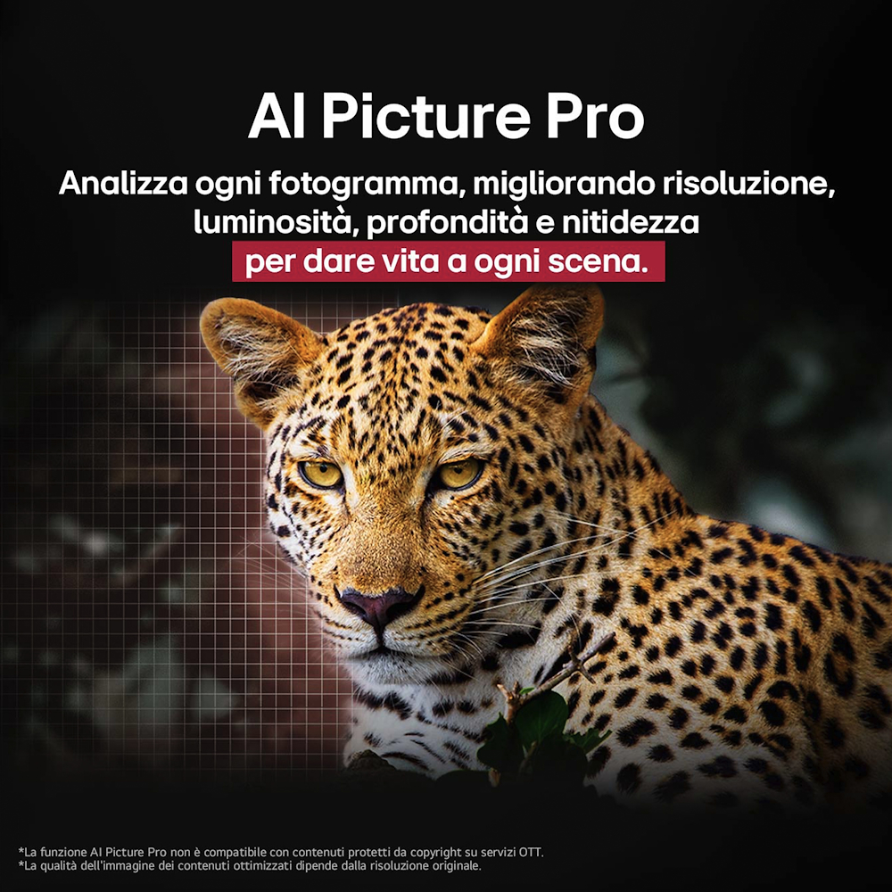 LG OLED55G56LS - TV OLED evo 55'' UHD 4K