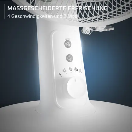 ROWENTA VU2740 - Ventilatore da tavolo 20W TurboSilenzio