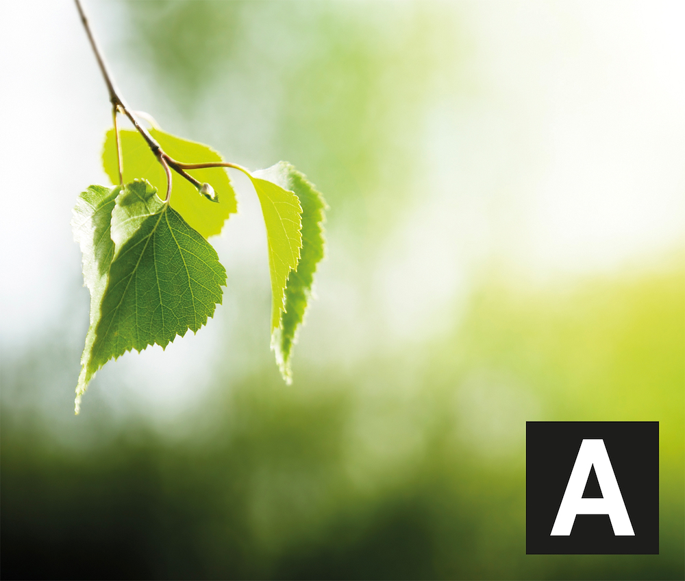 GLEM GAS SA66TVI - Küche 60x60 'Specialista SE' mit Grill