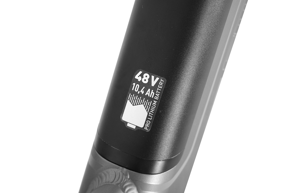 SMARTWAY M6R548ALT - E-Bike Titanium