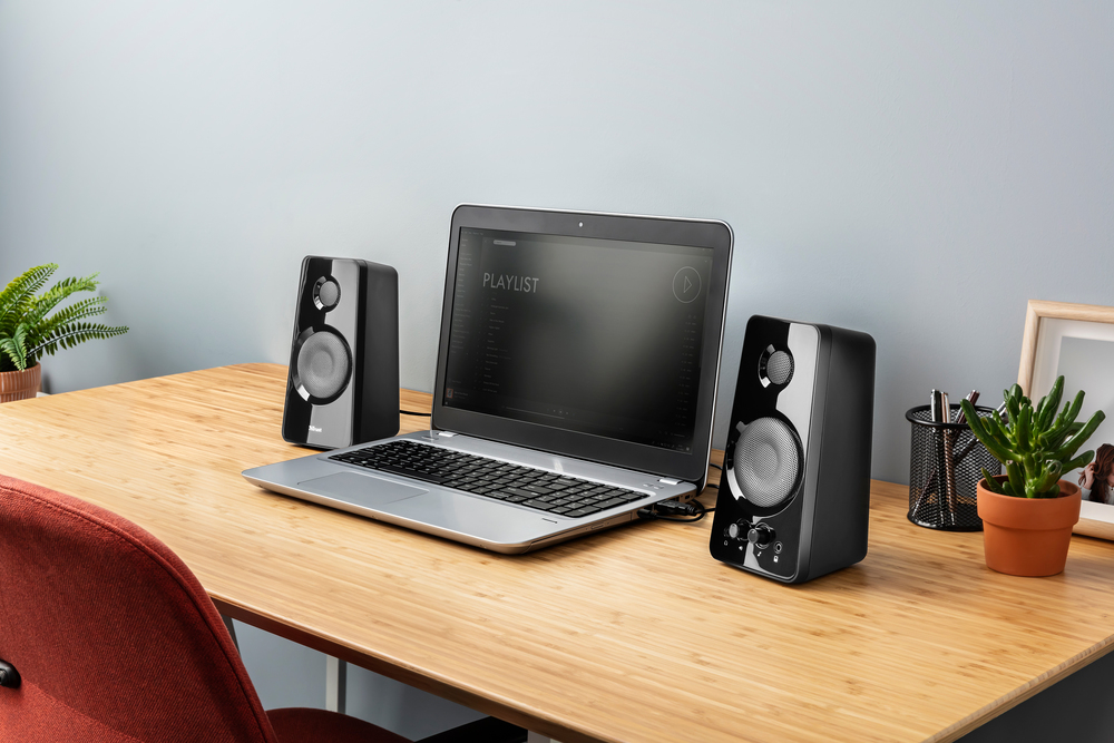 TRUST 21560 - 21560 0381074 CASSE PC 2.0 36W TITAN USB NERO