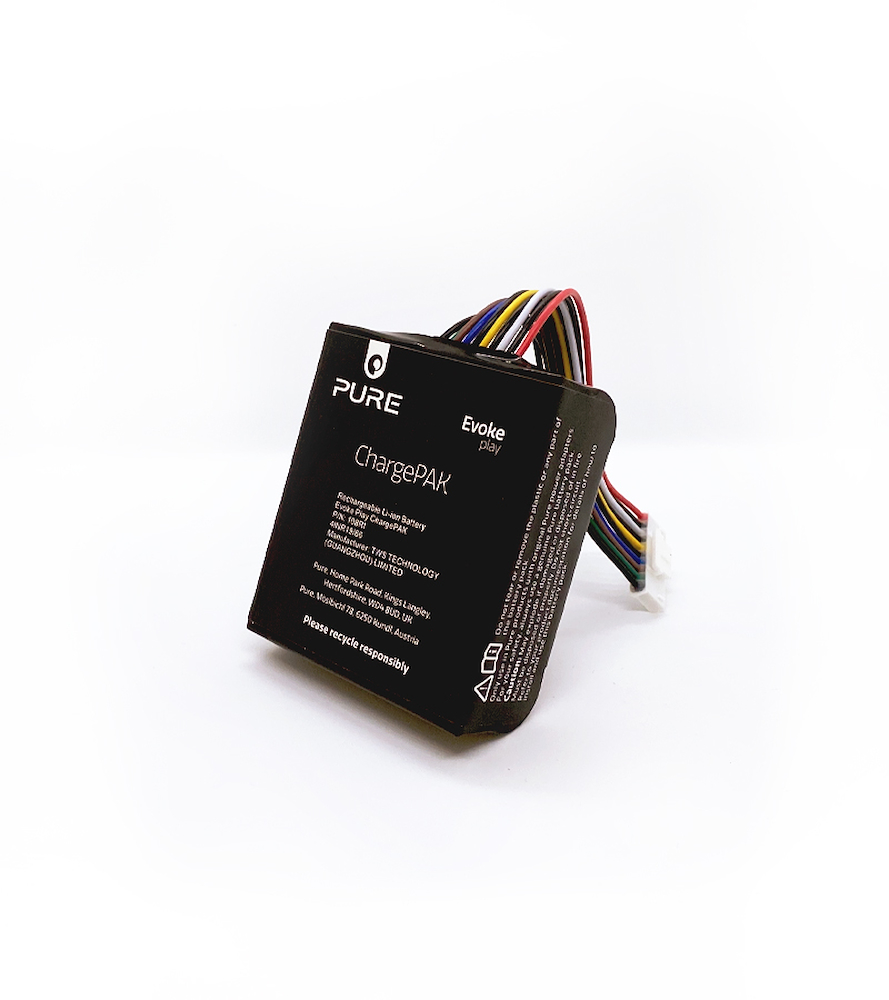 PURE 250179 - ChargePAK per Evoke Play