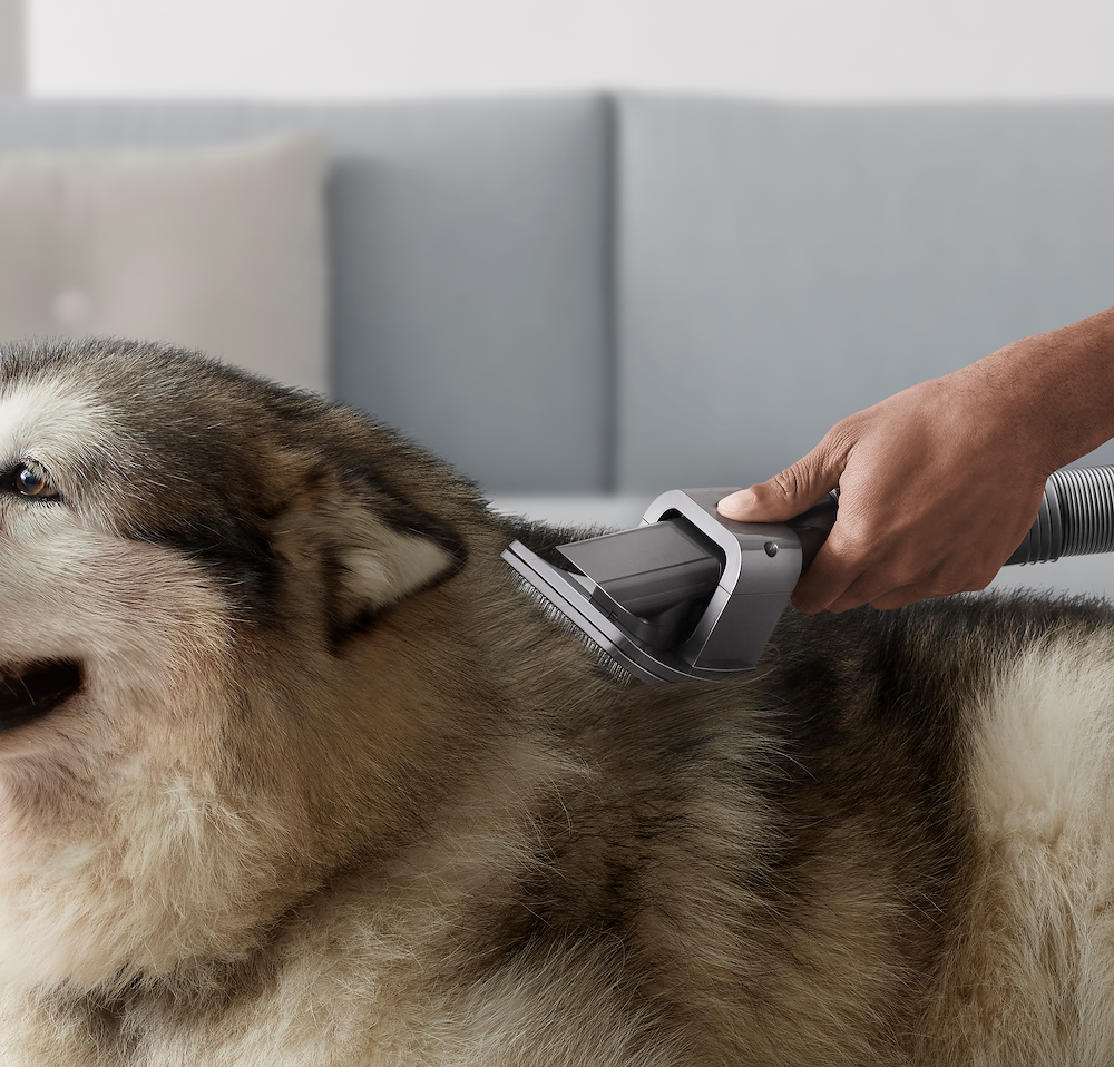 DYSON 97220501 - Dyson Haustierpflege-Set