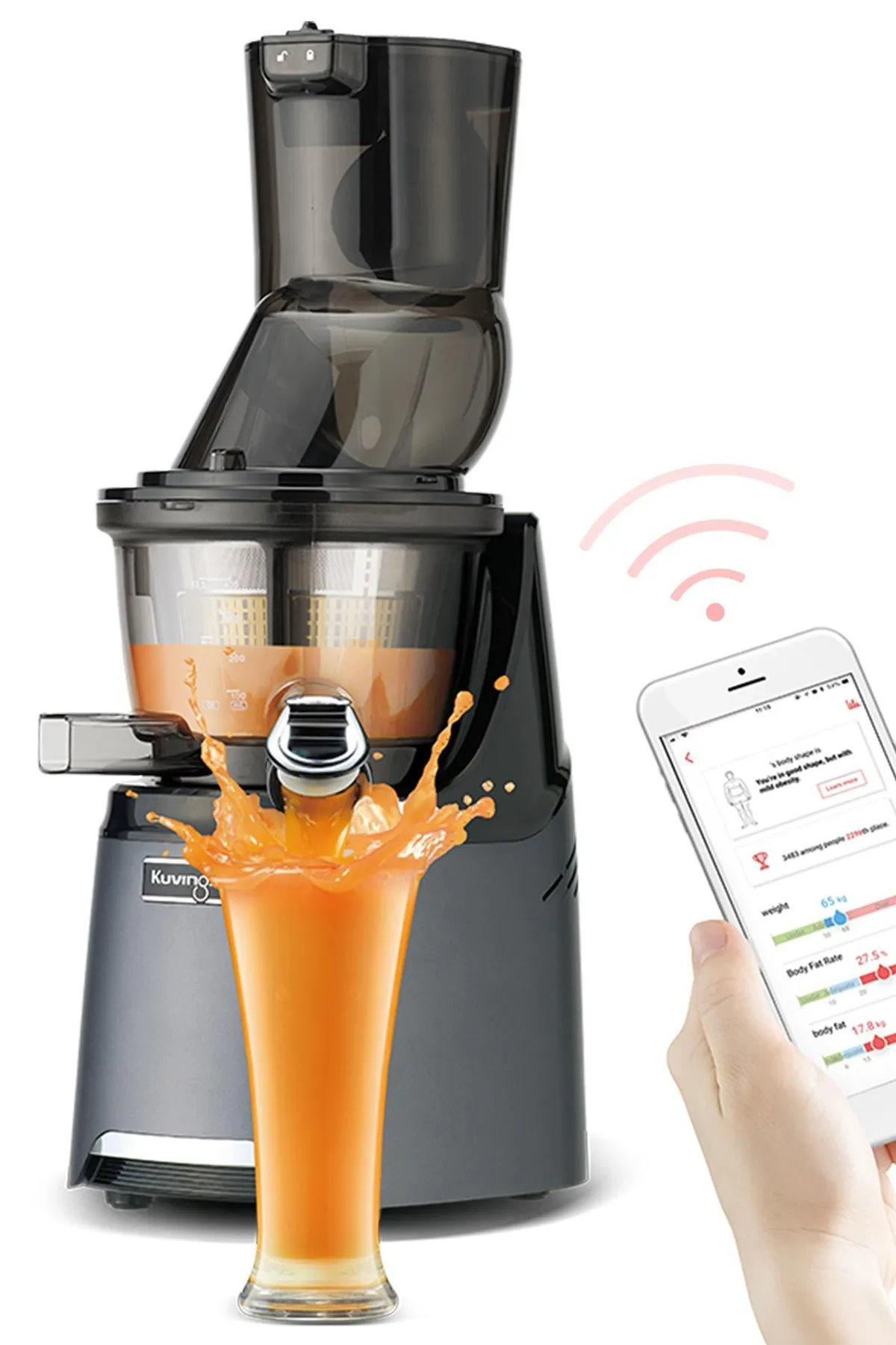 KUVINGS KVG MO1 GM - KVG MO1 GM Whole Juicer Motiv1 Gm Entsafter