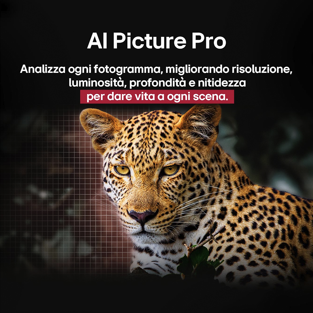 LG OLED55B56LA - TV OLED 55'' UHD 4K