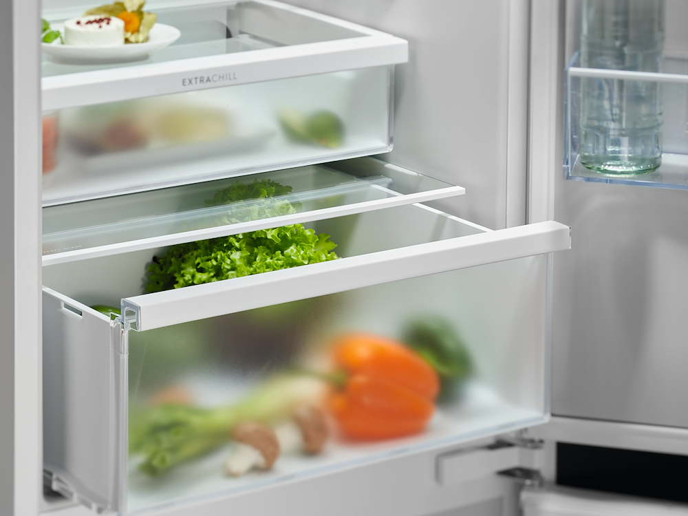 ELECTROLUX 925555020 - Gefrierschrank Total No Frost