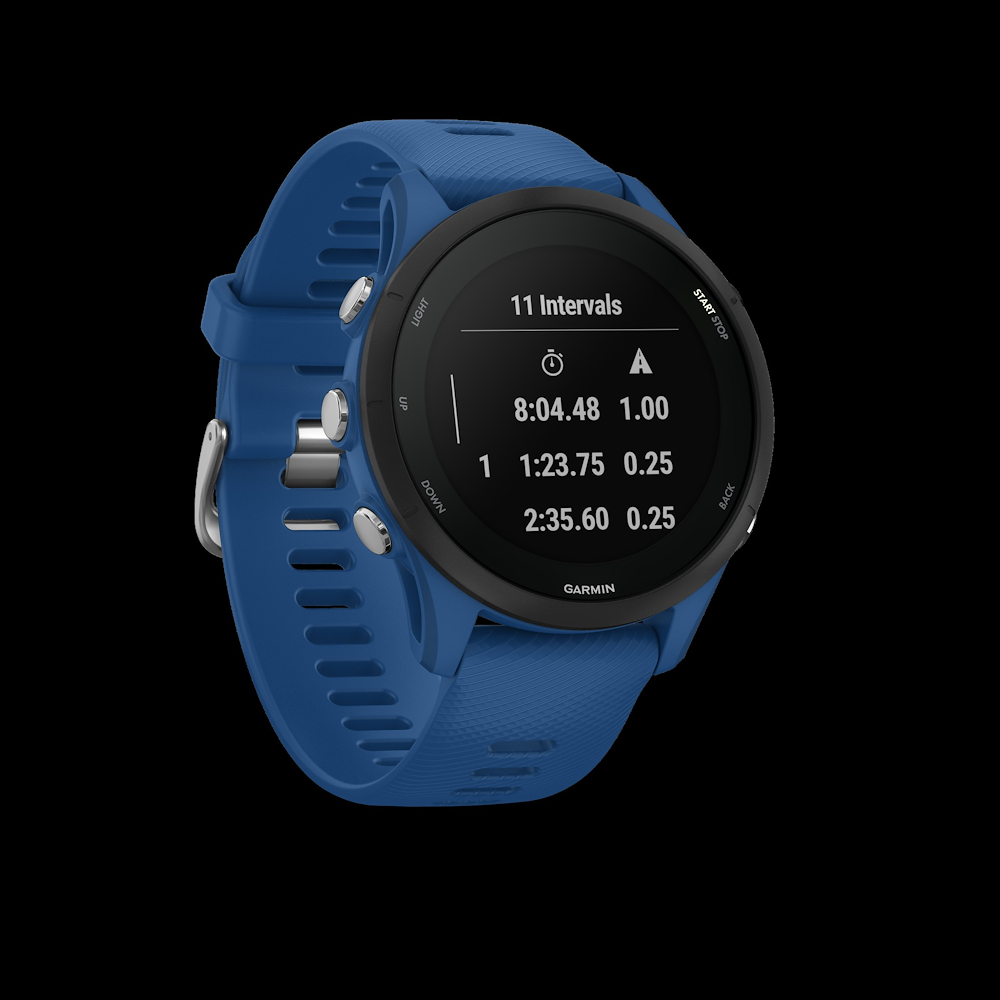 GARMIN 0100264111 - Garmin Forerunner 255 Smartwatch