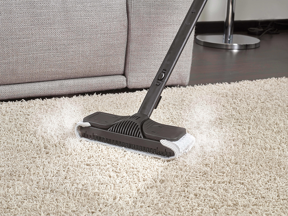 POLTI PTEU0268 - Polti Vaporetto Smart 30 R Dampfreiniger