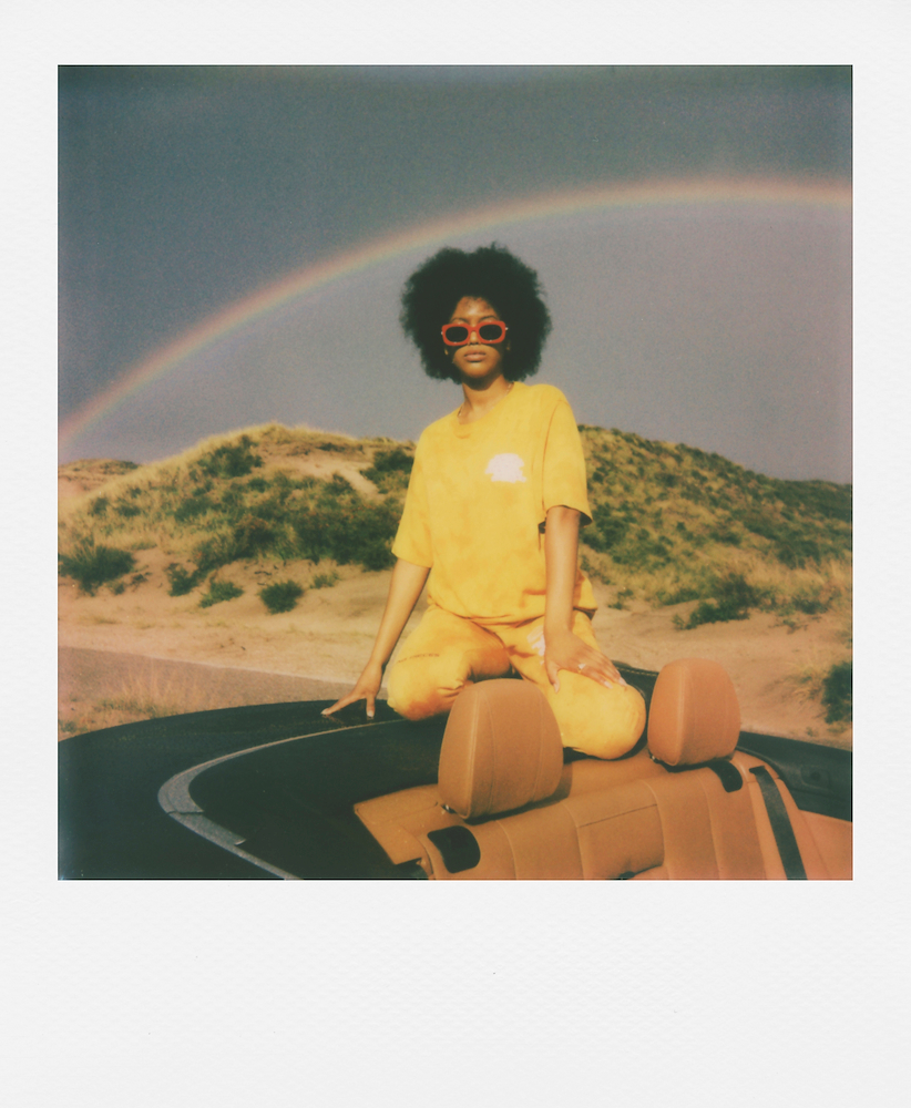 POLAROID PZ6017 - Polaroid Go Color Film Doppelpack