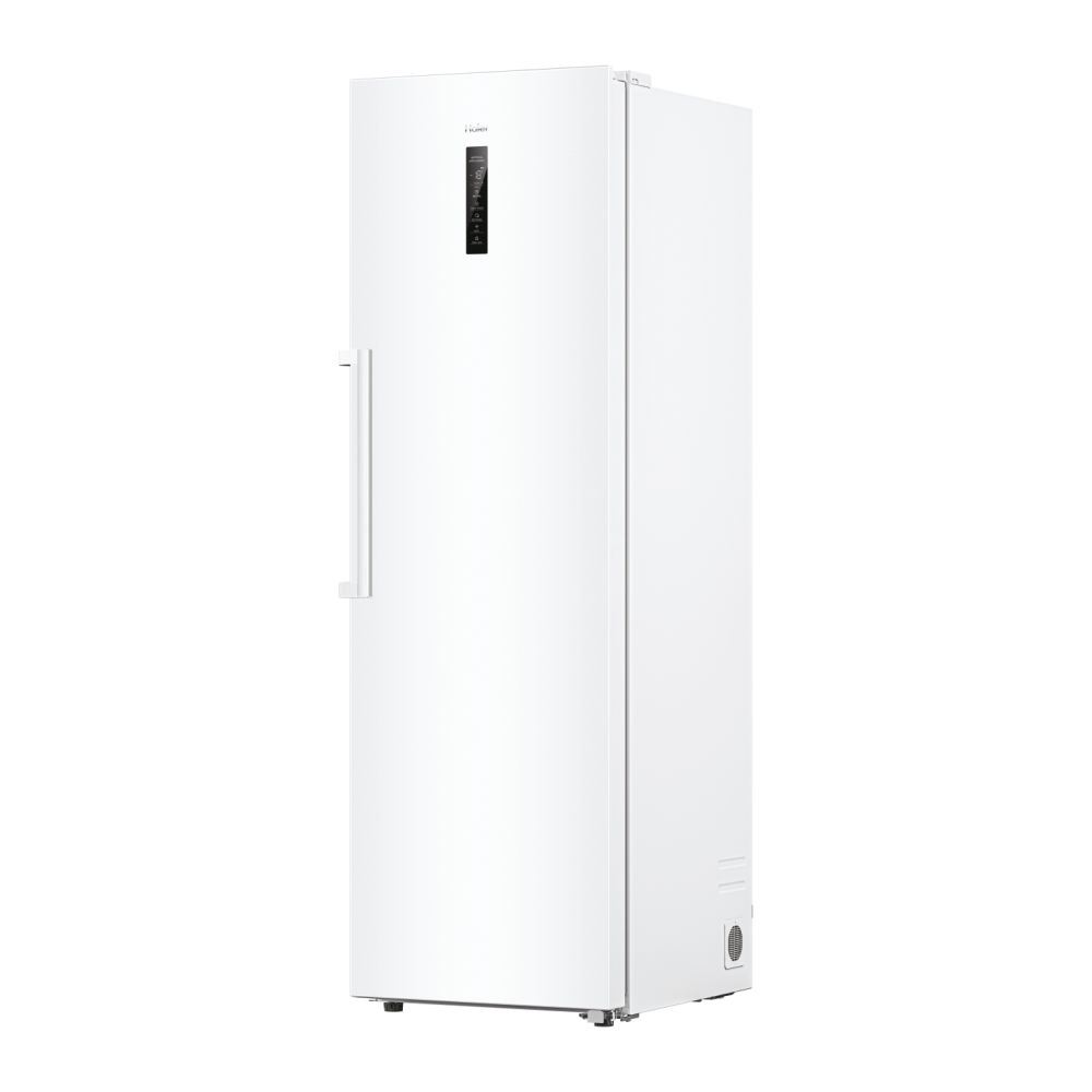 HAIER H4F306WDH1 - Congelatore verticale da 301 L Wi-Fi