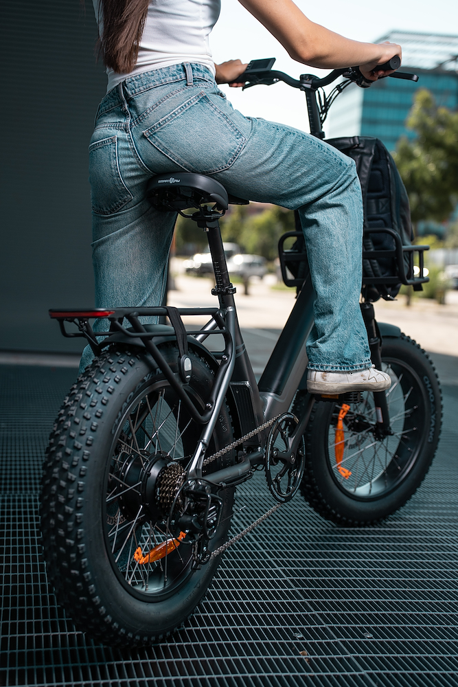 SMARTWAY M6R548ALT - E-Bike Titanium