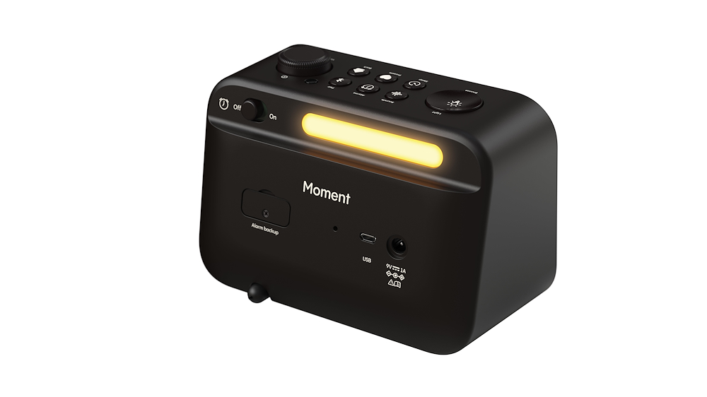 PURE 252448 - Pure Moment Tragbare DAB+ Radio