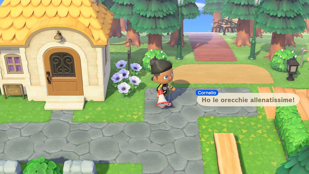 NINTENDO 10016300 - Gioco Animal Crossing Switch 2