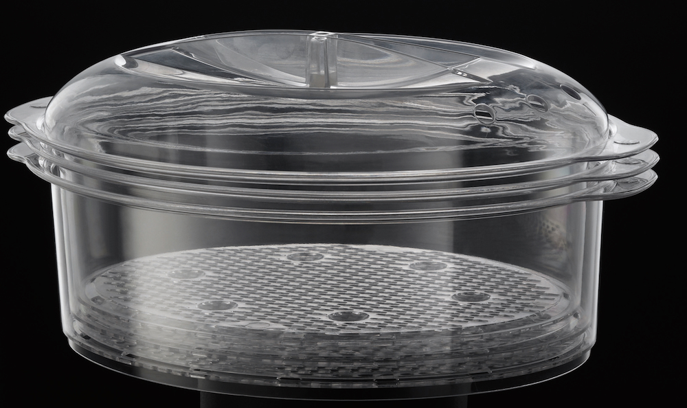 RUSSELL HOBBS 1927056 - Russell Hobbs Cook@Home Dampfgarer 19270-56 RUSSELL HOBBS 1927056 - Russell Hobbs Cook@Home Dampfgarer 19270-56