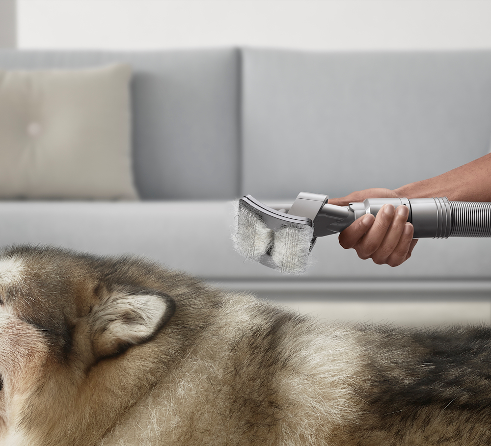 DYSON 97220501 - Dyson Haustierpflege-Set