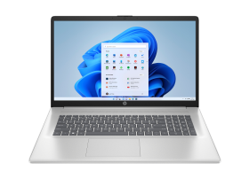 HP B5KG7EA - 17,3" Laptop Ryzen 7 Silber