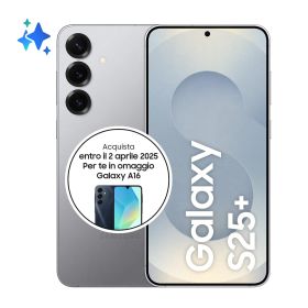 SAMSUNG SMS936BZSGEUE - Galaxy S25+ 12+512GB Silber Schatten