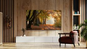 TCL 75P655 - 75" 4K LED Fernseher