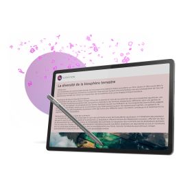 LENOVO TB373FUPNZAE40020SE - Lenovo Idea Tab Pro 12,7" 256 GB