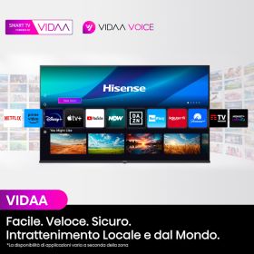 HISENSE 43E79NQ - 43" QLED Fernseher 4K Ultra HD