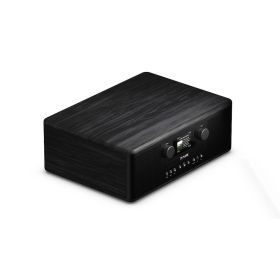 PURE 254587 - Radio Internet C-D6i