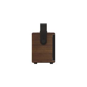 PURE 254374 0727872 MINI SPEAKER RIC. BT CLASSIC AURA COFFEE BROWN/WAL