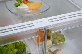 ELECTROLUX LNS5LE18S - Frigorifero Combinato 272LT ColdSense