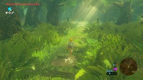NINTENDO 10016293 - Zelda Breath of the Wild SWITCH 2
