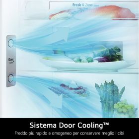 LG GTF916SEPED - Frigorifero  Wi-Fi con Door Cooling