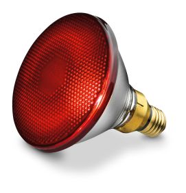 BEURER IL21 - Lampada infrarossi 150W per terapia