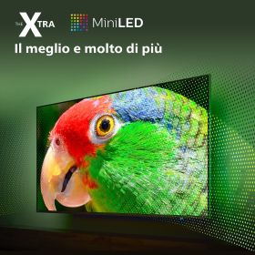 PHILIPS 65PML9008 - Philips The Xtra 65PML9008 4K Ambilight TV